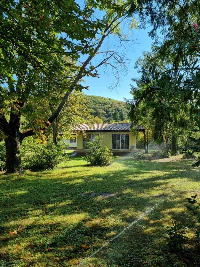 Fuk-Tak'S Bungalow Dojran 외부 사진
