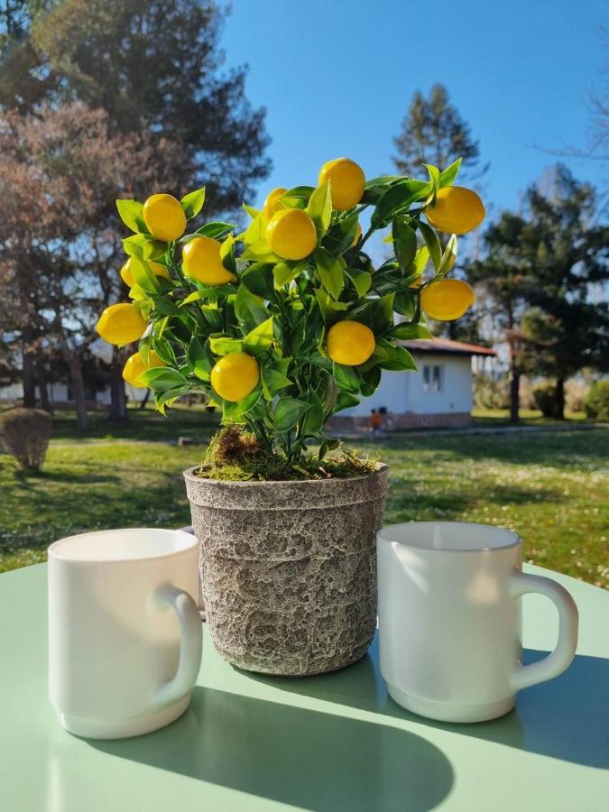Fuk-Tak'S Bungalow Dojran 외부 사진